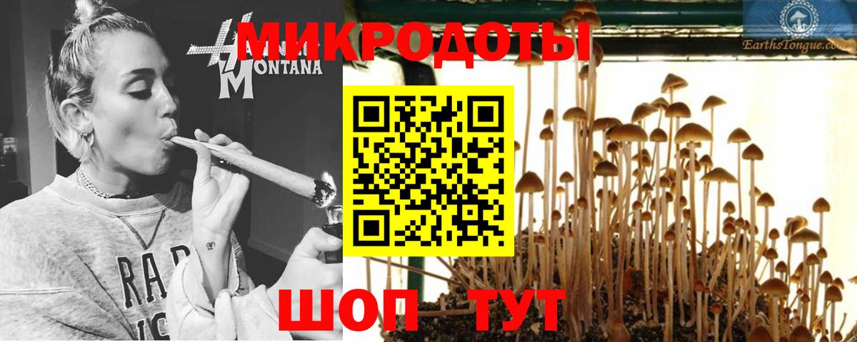 Рославль  Галлюциногенные грибы Magic Shrooms  Псилоцибиновые грибы прущие грибы  Вход с VPN 