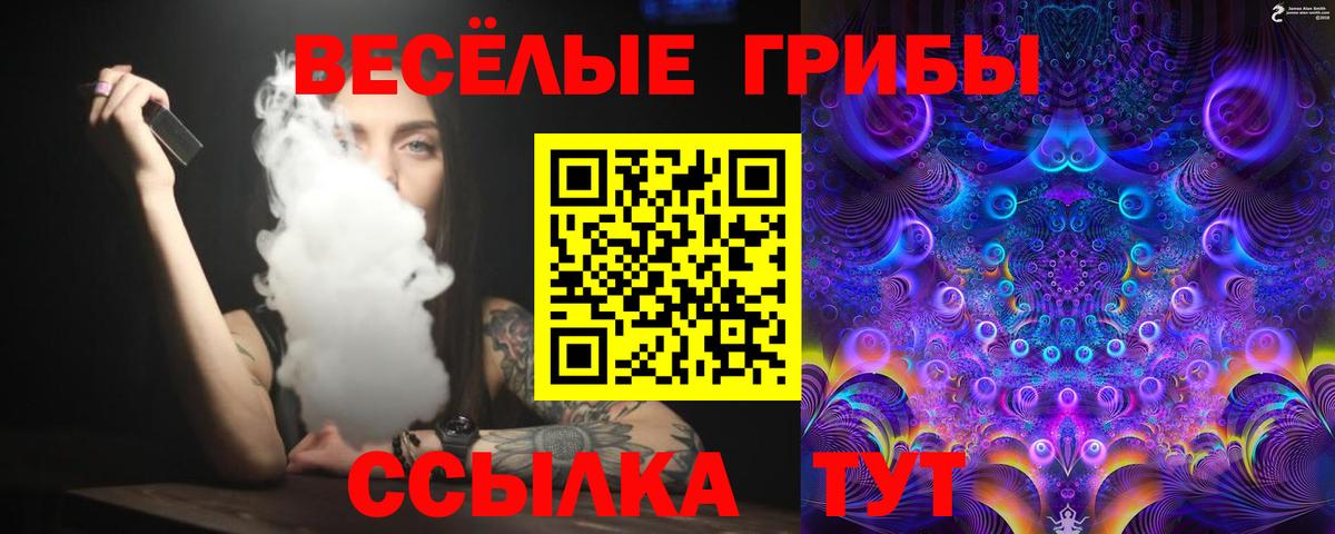 Псилоцибиновые грибы MAGIC MUSHROOMS Рославль